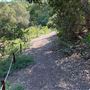 Descanso Gardens