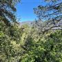 Descanso Gardens