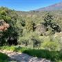 Descanso Gardens