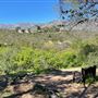 Descanso Gardens