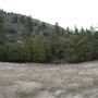 Crystal Lake Recreation Area / Campground - Angeles National Forest