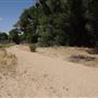 Mojave Narrows Regional Park