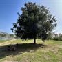 Rio de Los Angeles State Park (SP) - Taylor Yard - Inter Agency - LA City Parks & CA State Parks