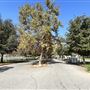 Rio de Los Angeles State Park (SP) - Taylor Yard - Inter Agency - LA City Parks & CA State Parks