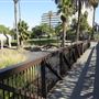 La Brea Tar Pits - George Page Museum