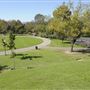 La Brea Tar Pits - George Page Museum