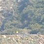 Angeles Crest Highway - SR2