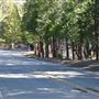 Angeles Crest Highway - SR2