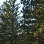 Angeles Crest Highway - SR2