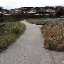 Locke Paddon Park