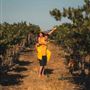 Vinyl Vineyards