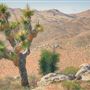Jawbone Canyon