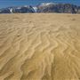 Olancha Sand Dunes - Bureau of Land Management - California Desert District - Ridgecrest Field Office - BLM - Off Highway Vehicle Area - OHV