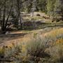 Chimney Peak @ Chimney Peak Wilderness