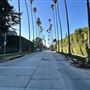 Windsor Square Neighborhood