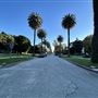 Windsor Square Neighborhood