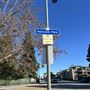 Hancock Park Neighborhood
