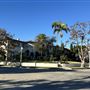 Hancock Park Neighborhood