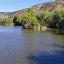 The Painted Turtle Camp