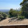 Griffith Park Redwoods - Cedar Grove