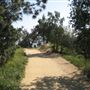 Griffith Observatory - Griffith Park
