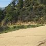 Griffith Observatory - Griffith Park