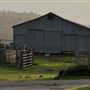 Tin Barn