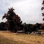 Los Angeles County Arboretum