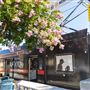 VTA Lightrail Stations