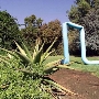 Los Angeles County Arboretum