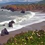 Schoolhouse Beach (Sonoma Coast State Park)