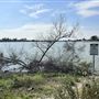 Peck Road Water Conservation Park
