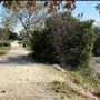 Peck Road Water Conservation Park