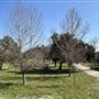 Peck Road Water Conservation Park