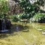 Los Angeles County Arboretum