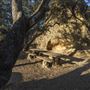 Mount Diablo State Park (SP)