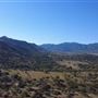 Bufford Ranch, managed by Golden Ranch Estates