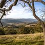 Halter Ranch