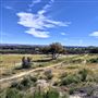 39459 Opalocka Road Suite 1648