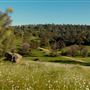 8,600 Acres in Mariposa & Madera County