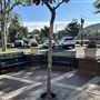 Downtown Lake Elsinore