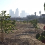 Los Angeles State Historic Park (SHP)