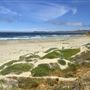 Morro Strand State Beach (SB)