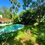 Vintage Hollywood Vibes – Secluded Palm-Lined Mid-Century Pool Oasis Wrapped In Lush Greenery – A Filmmaker’s Dream!