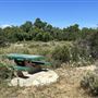 Santa Fe Dam Recreational Area