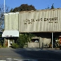 Los Olivos
