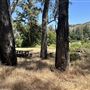 Peter Strauss Ranch - National Park Service (NPS)