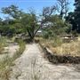 Peter Strauss Ranch - National Park Service (NPS)