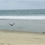 Dockweiler State Beach (SB) / FilmLA - County Beaches & Harbors