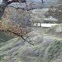 Solace Ranch & Vineyard